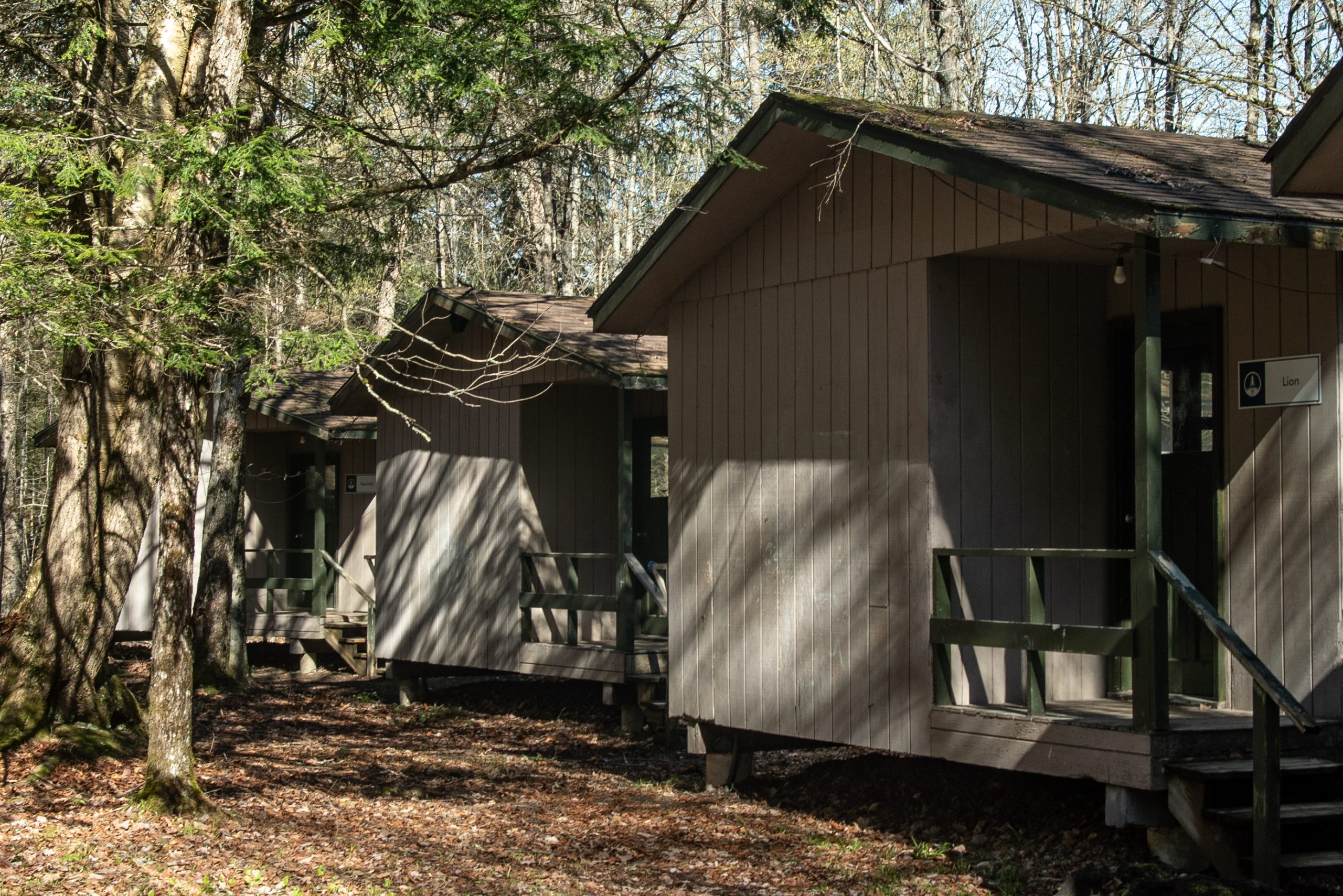 2026 - Cabins - 01